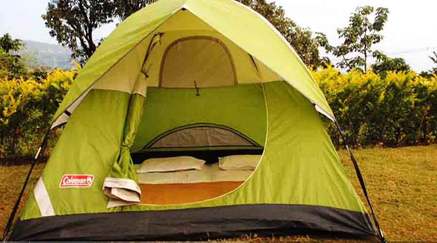 Tent in tapola